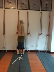 -成都阿难陀艾扬格瑜伽中心