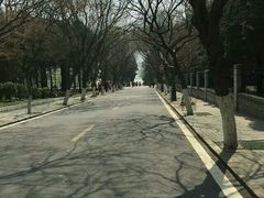 -八大关景区