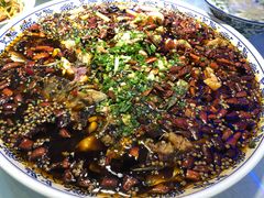 -新概念来凤鱼(璧山店)