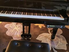 -圣爵菲斯大酒店(长沙世界之窗店)