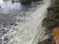 -长白岛森林公园