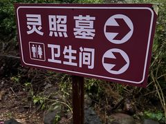 -美亭美榔姐妹塔