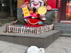-灵谷景区