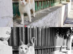 -何东旧居