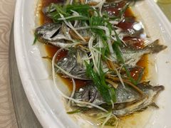 -湛江渔港·大排档(乐园路总店)