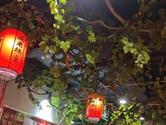 -成老灶火锅鸡(平山店)