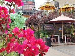 -蘭亭花園(兰州中心店)