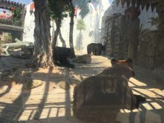 -灵玲国际马戏城