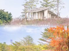 -海珠湖公园