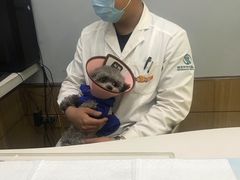 -瑞派宠物医院·中兽医专科(中央商城分院)