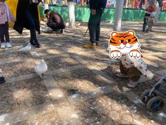 -昆明动物园