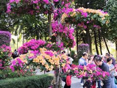 -广州雕塑公园