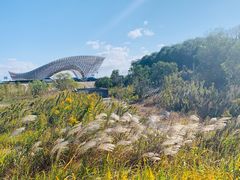 -南汇嘴观海公园