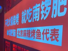 -南锣肥猫·麻辣烤鱼·16年现烤现卖(财富购物中心店)