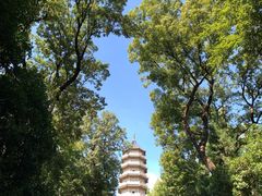 -灵谷景区
