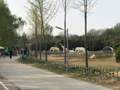-廊坊市自然公园