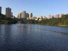 -重庆彩云湖湿地公园
