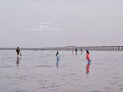 -南汇嘴观海公园