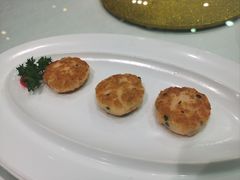 -天福苑(崇宁路店)