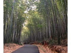 -苏州环秀晓筑养生度假村