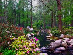 -上海共青森林公园