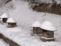 -安吉龙王山风景区