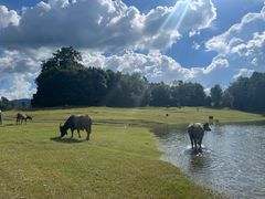 -凯邦亚湖风景区