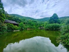 -习家池