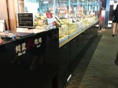 -绮丽珊瑚(台北101旗舰门市店)