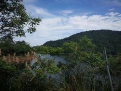-千岛湖龙川湾