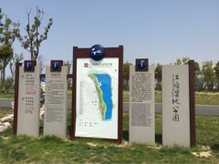 iphone_upload_pic-江滩湿地公园