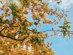 -学习谷日语培训日本留学·多语种外语教学(海淀人大分部)