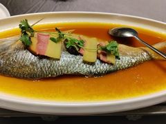 -骏莱海鲜鱼港(五角场店)