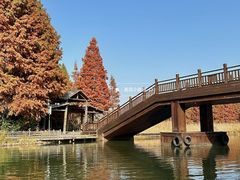 -溱湖国家湿地公园