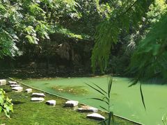 -东平国家森林公园