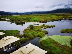 -腾冲北海湿地