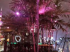 -罗斯福色戒酒吧(外滩店)