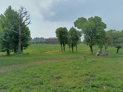 -上海东方佘山翰悦阁酒店·Vie全日制餐厅