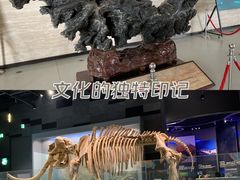 -武汉园博园(武汉自然博物馆)