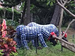 -青青世界