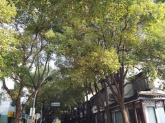 -相门城墙文化休闲景区