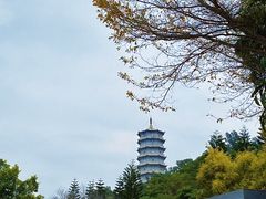 -深圳国际园林花卉博览园