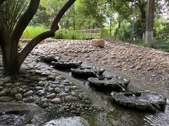 -成都市活水公园