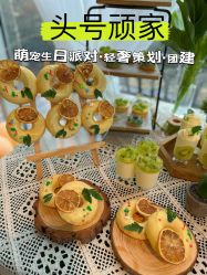 -头号顽家·萌宠生日派对·轻奢策划(前滩店)