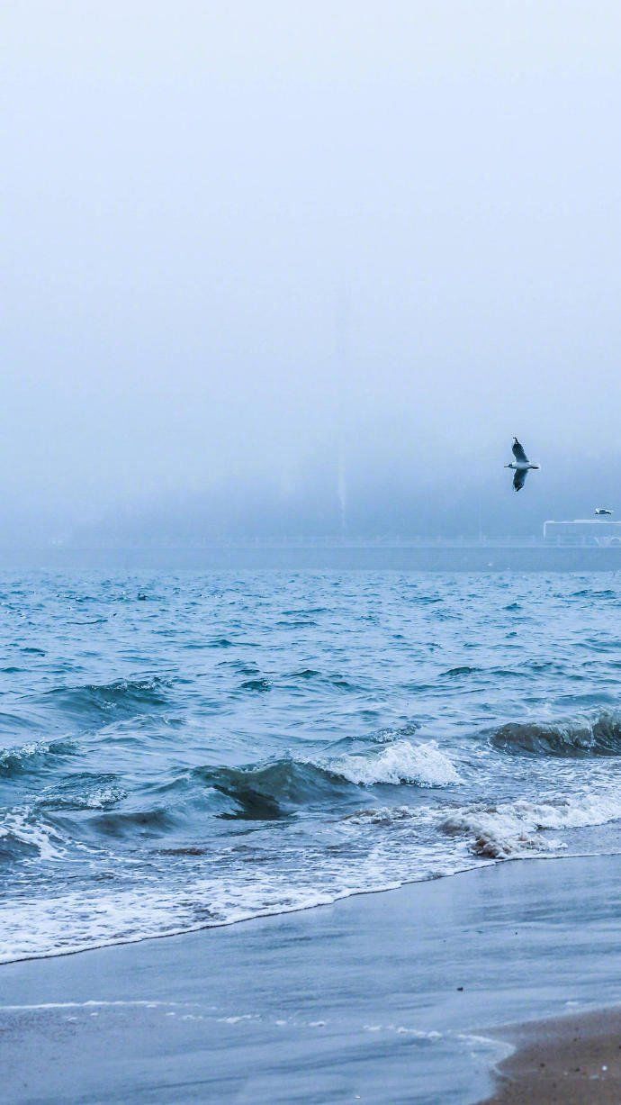 ["一叶浮萍归大海,人生何处不相逢.