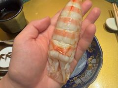 -鮨冠OMAKASE食べ放题(北京首店)