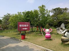 -天适樱花悠乐园