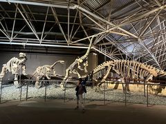 -世界恐龙谷景区