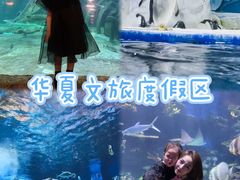 -华夏文旅西安度假区