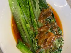 -百利鸽王(紫薇路店)